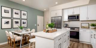 Vasari at Ventana Gallery 6