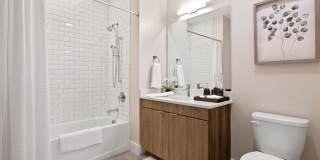 Canter Green Gallery 20