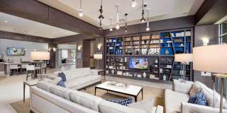 Maitland City Centre Gallery 17