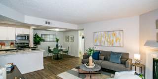 The Del Rey Gallery 9