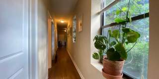 920 West Cullom Ave. Gallery 2
