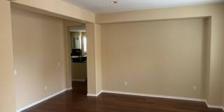 Olive Gallery 4