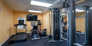 South Olive Gallery 7