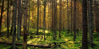 The Davenport Gallery 29