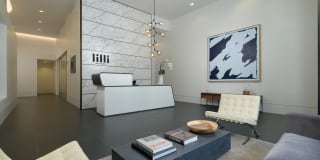Lilli Midtown Gallery 5