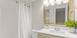 District 2308 Gallery 41