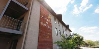 Ashton at Harding Gallery 38