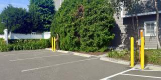 98 Southfield Avenue Gallery 25