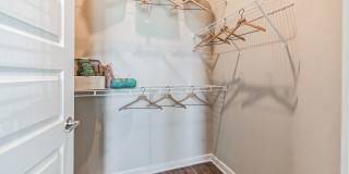 RISE Sereno Gallery 50