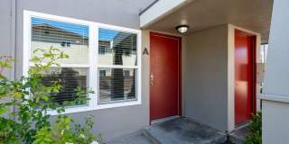 428 N Chorro Gallery 28