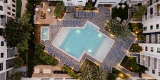 Tortoise One Gallery 38