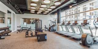 South & Hollis South & Hollis Gallery 24