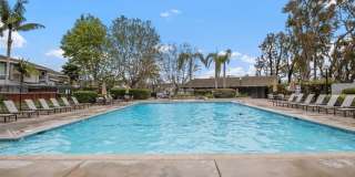 3341 Calle La Veta Gallery 39