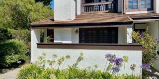 1586 Palisades Dr 1586 Palisades Dr Gallery 1