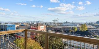 Harbor Flats Gallery 18