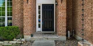 10614 Spirit Horse Gallery 4
