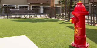 Valentia by Windsor Gallery 30