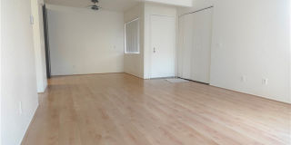22852 Hilton Head Drive Gallery 6