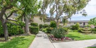 Las Brisas Gallery 4