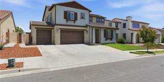 31110 Bay Horse 31110 Bay Horse Gallery 1