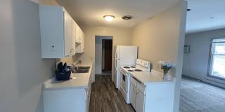 Marjon Terrace Gallery 5