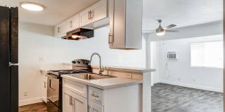 The Hendrix The Hendrix Gallery 47