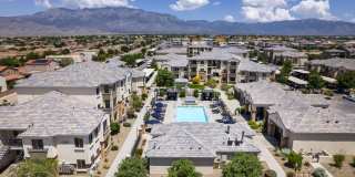 Olympus Alameda Gallery 43