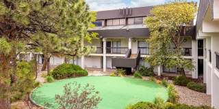 Alta Living Gallery 13