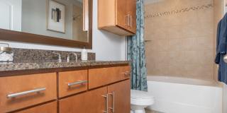 Braeswood Place Gallery 44