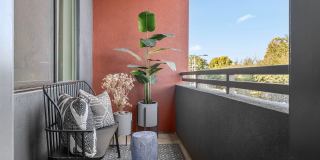 Aura Uptown Gallery 15