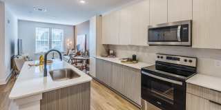 Artizia at Loso Gallery 4