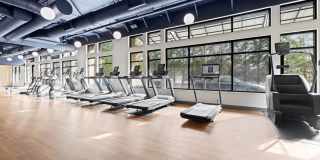 The Bristol At Southport Gallery 50