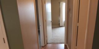 Coming soon: 3 bedroom, 2 bath home in Whitehouse! Whitehouse ISD Gallery 14