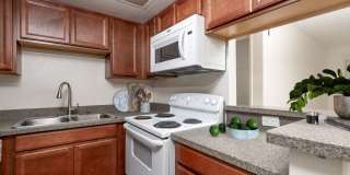 Citrus Place Gallery 18