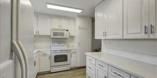 3338 Punta Alta Gallery 5