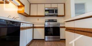Huge 2 bed in Allston Gallery 19