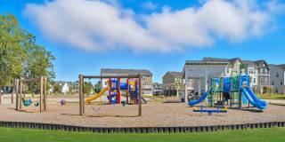 Harmon Foxbank Gallery 13