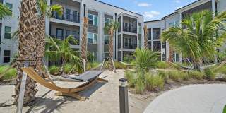 Mira at Palmer Ranch - 55+ Senior Living Community Gallery 54