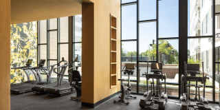 Fellow at Fitz Gallery 5