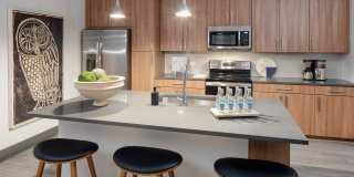 Vine North Hills Gallery 17