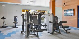 5 Points Northshore Gallery 27