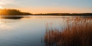 Wren on the Creek Gallery 50