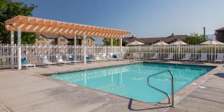 Monarch Meadows Gallery 12