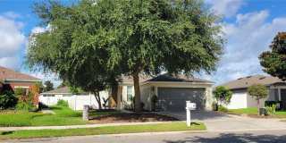 1109 CHINA ASTER Way Gallery 1