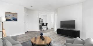 The Berryessa Gallery 8