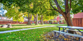 Cambridge Dorchester Apartments Gallery 15