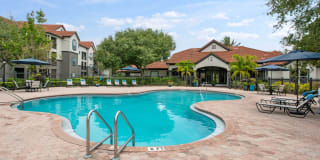 Lucerne at Lake Brandon Apartments Gallery 16