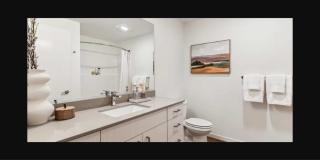 Traxx Apartments Gallery 2