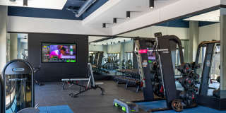 The Emery Gallery 81