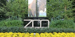 Calvert House Apartments Gallery 26